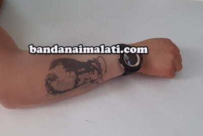 Giyilebilir Dövme, Dikişsiz Dövme, Dövme Kolluk, Tattoo Sleeves Giyilebilir Dövme İmalatı